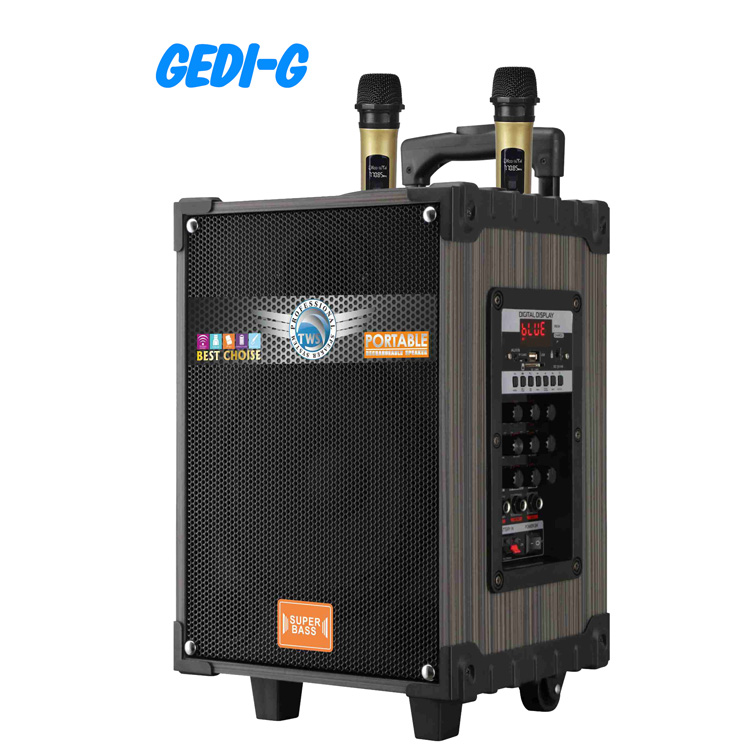GEDI G LT910 DUAL MICROPHONE SPEAKER
