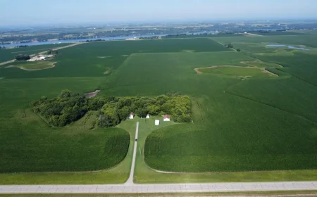$115,000 Beardsley MN Acreage: Project Home or Hunting Retreat Near Big Stone Lake
