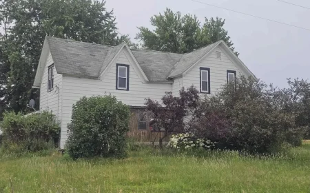 $79,900 Weidman, MI: Latest Community Initiatives & Local Progress