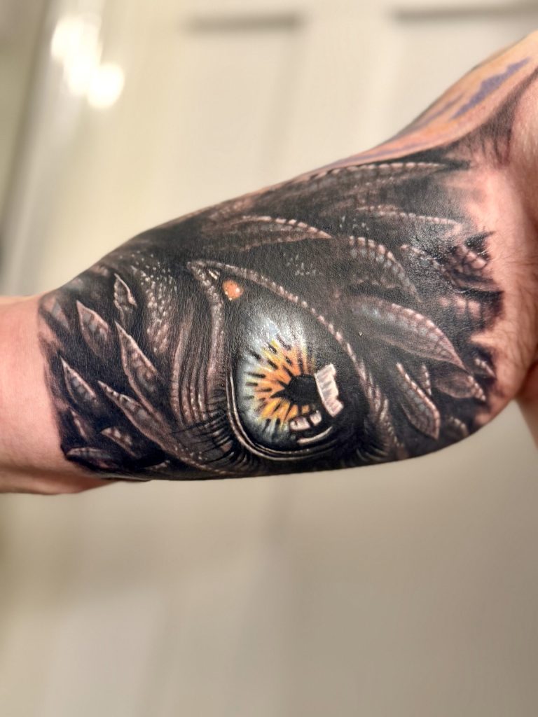 Dragon’s Eye