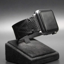 Apple Watch LV Monogram