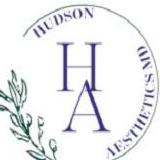 Hudson  Aesthetics 