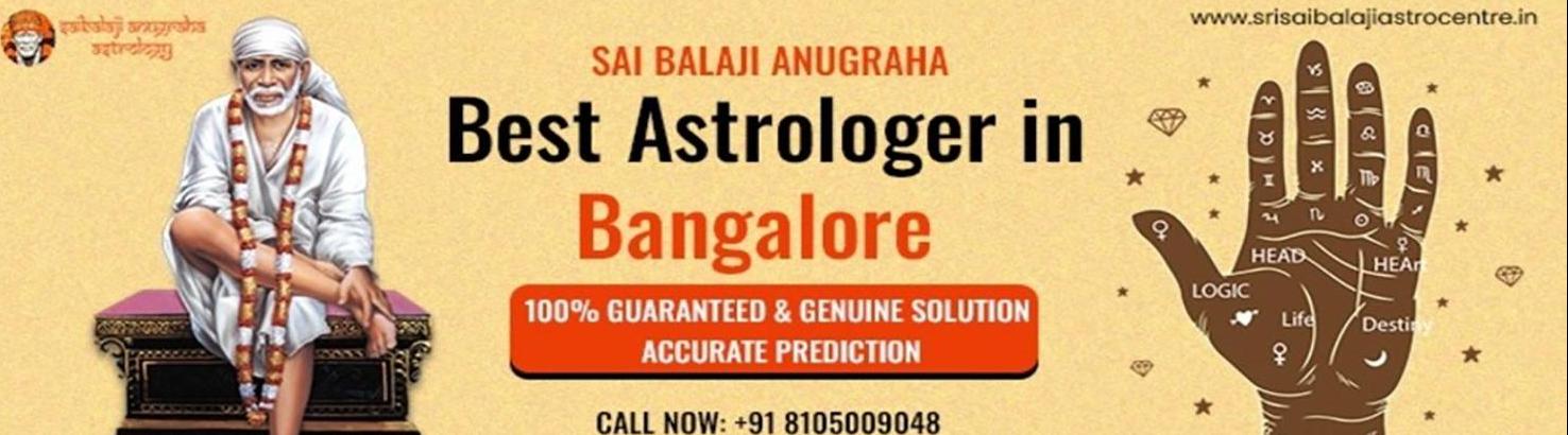 Srisaibalaji Astrocentre