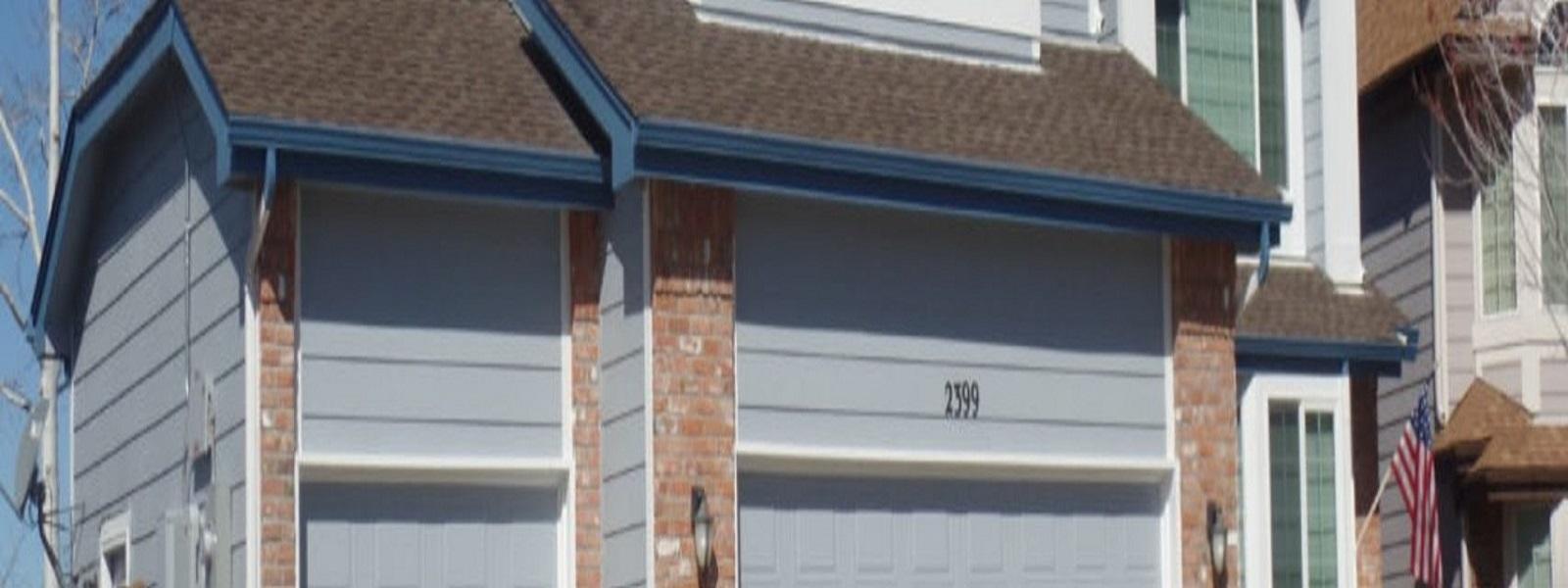 Pro Classic  Painting