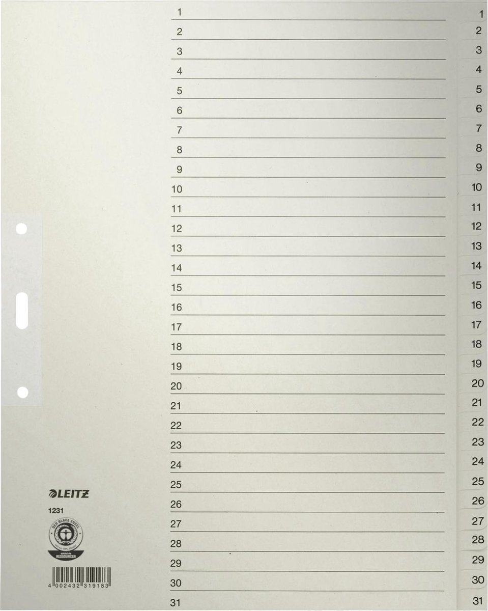 10 x Leitz Register A4 1-31 100g/qm grau