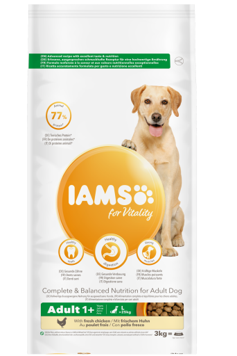 Iams Adult Pro Active Große Rasse Reich An Hühnern 12 Kg