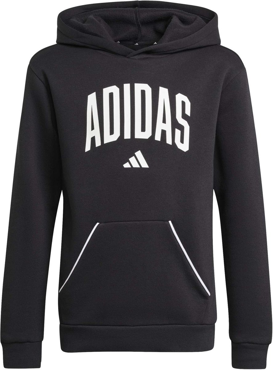 Hoodie Kinder adidas Essentials Collegiate Typography