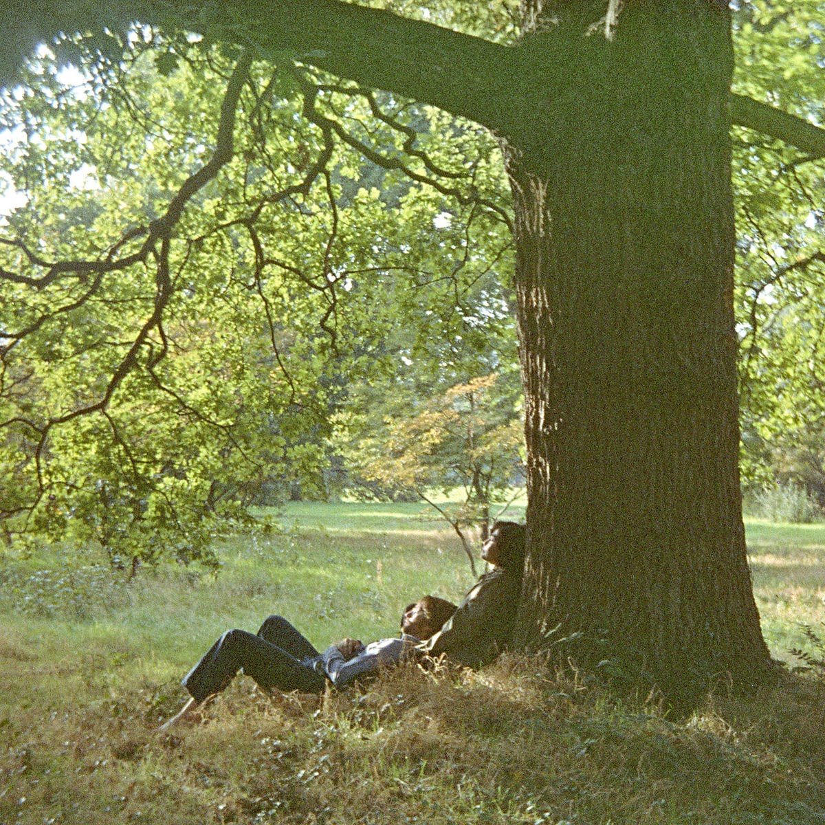 Vinyl Le Vinyl Club Plastic Ono Band (Gatefold) - John Lennon