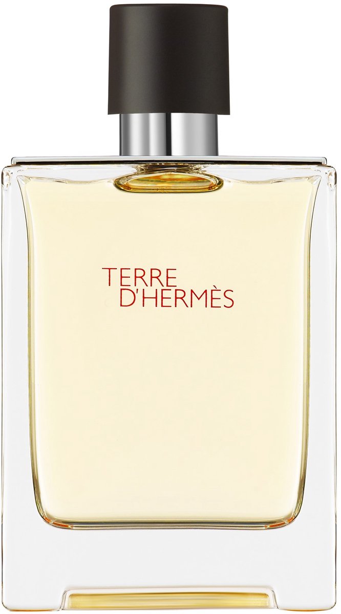 Hermes Terre D Hermes Eau de Toilette, 100 ml