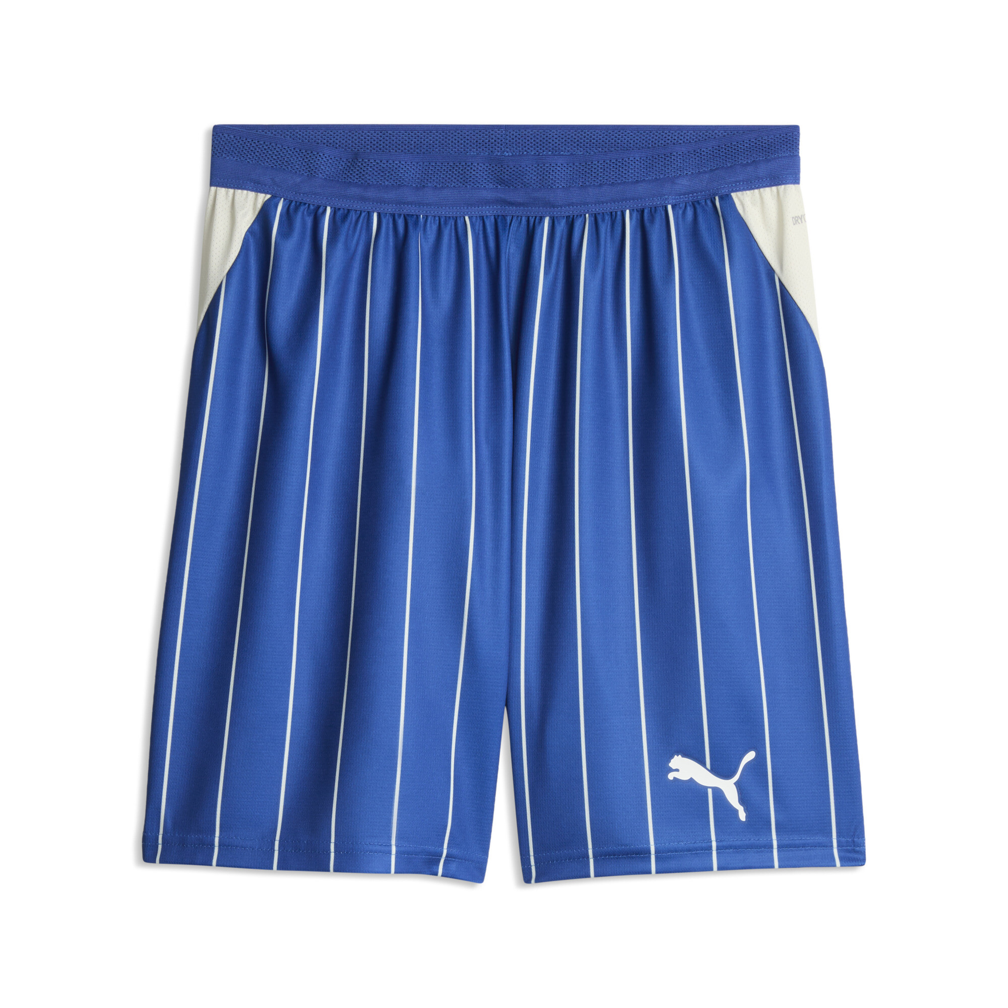 PUMA VfL Gummersbach 26/27 Heimshorts Herren, Accessoires, Blau, XL