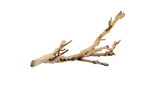 Exo Terra Naturwaldzweig 60 Cm