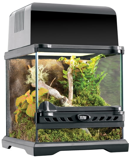 Exo Terra - Terrarium Nano Wide - 20 x 20 x 20 cm