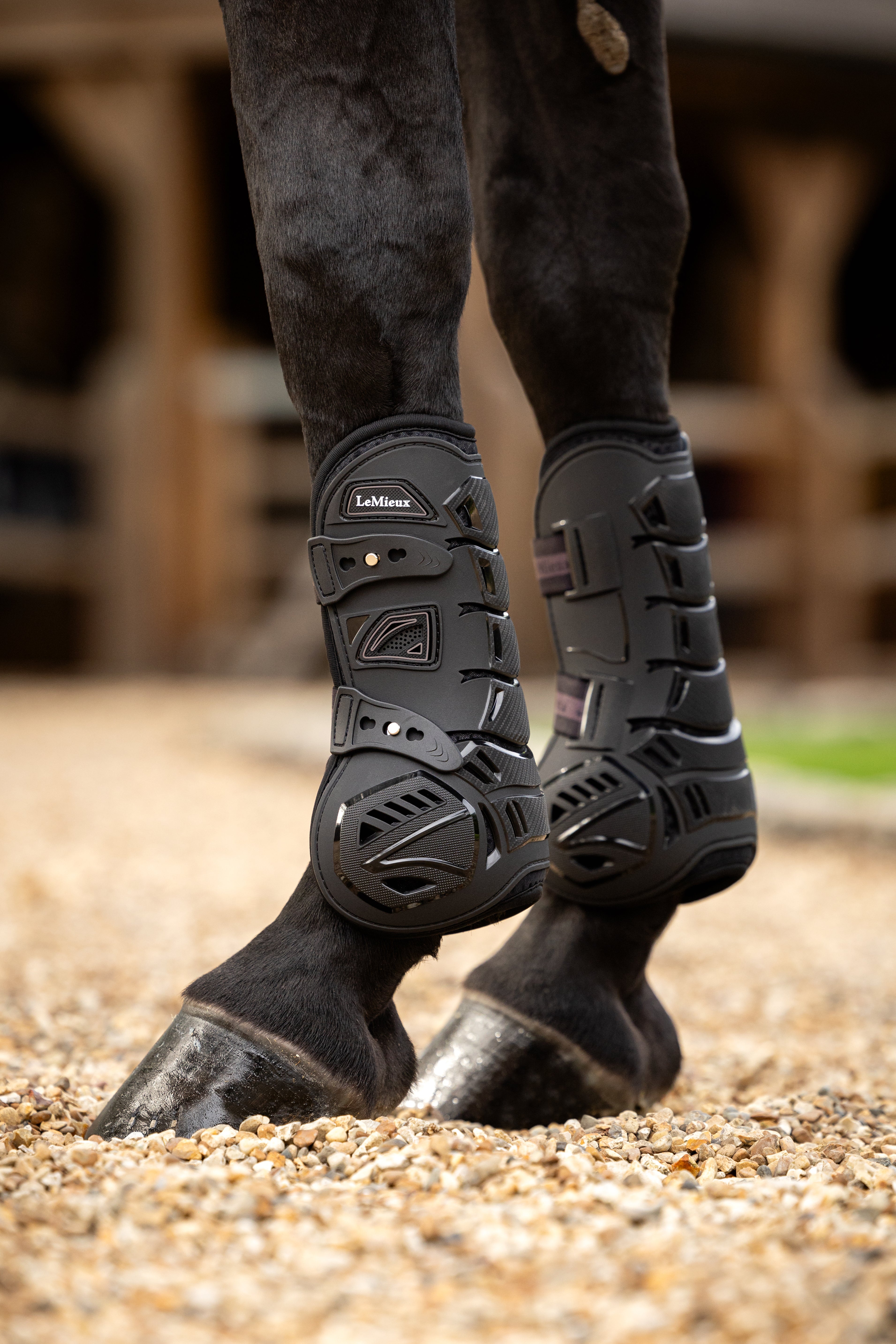 Lemieux - Motion Cool Tendon Boot - Black - Large