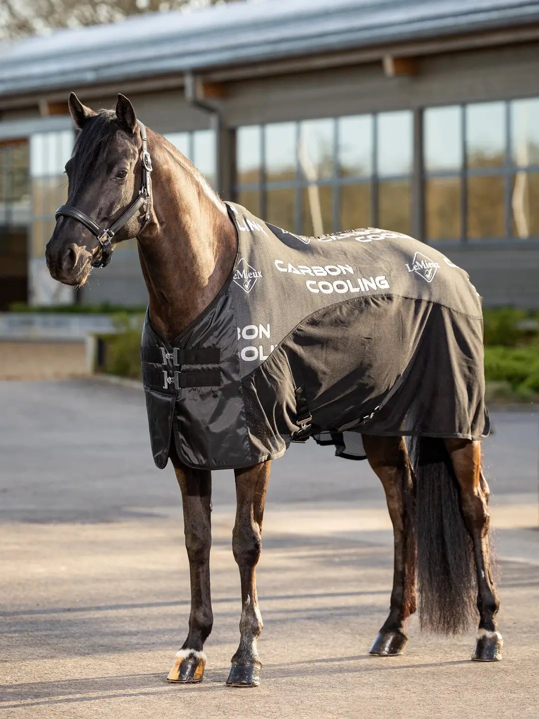 Lemieux - Carbon Cooler Rug - Black - 135 cm