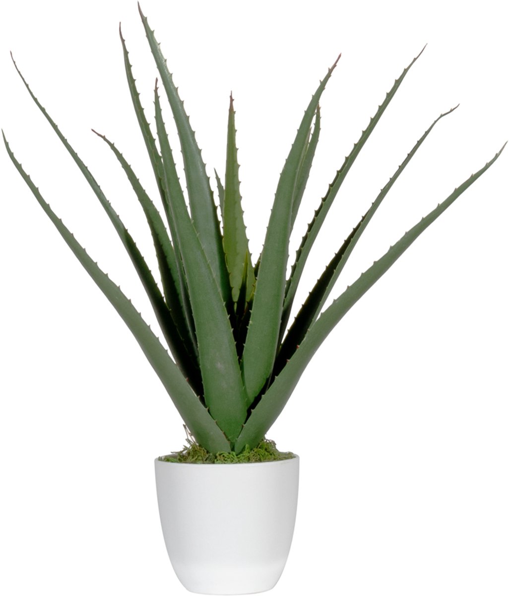 Paperflow Kunstpflanze PAALOE45 Aloe Vera 45cm