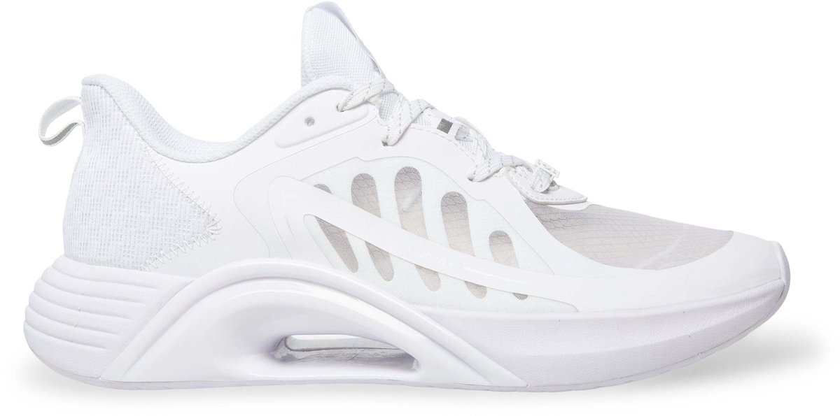 Sneakers Steve Madden Nikolas