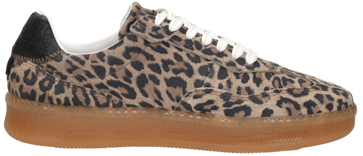 Sneakers Steve Madden Euphoria