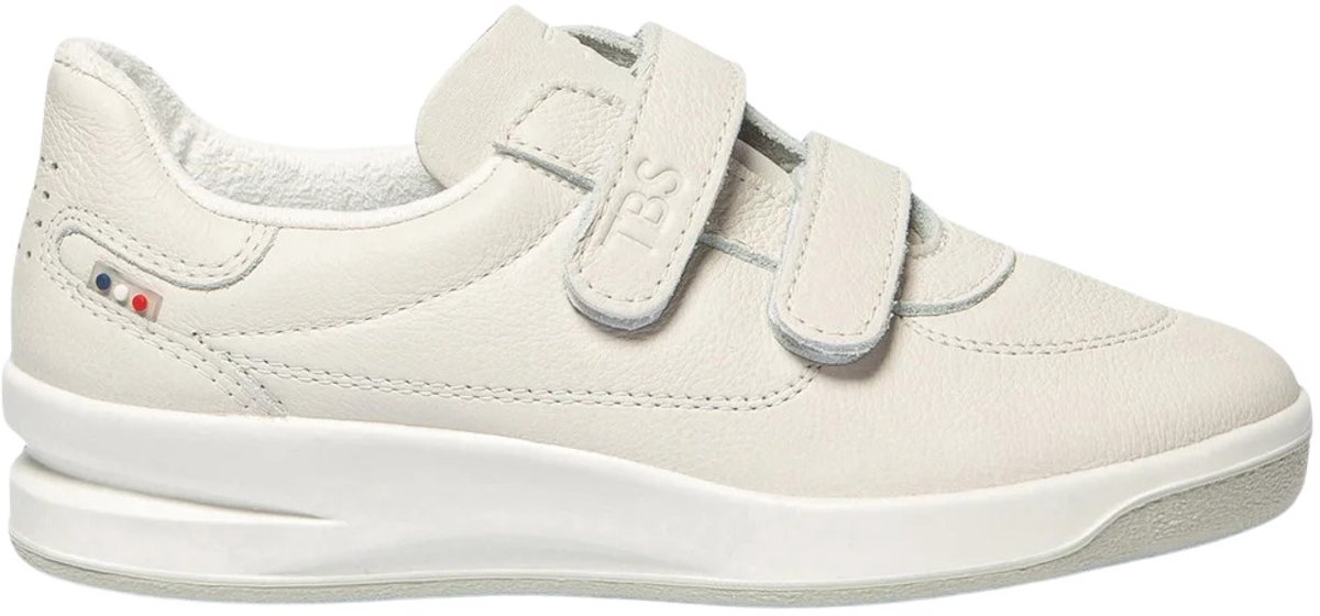 Sneakers TBS Biblio