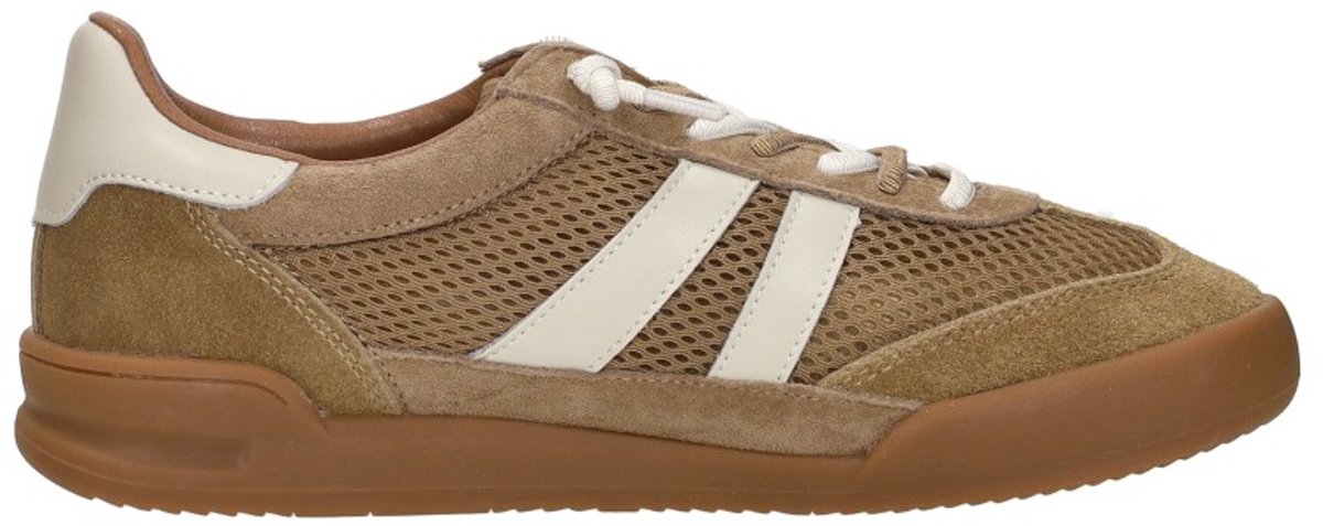 Sneakers Steve Madden Verdict