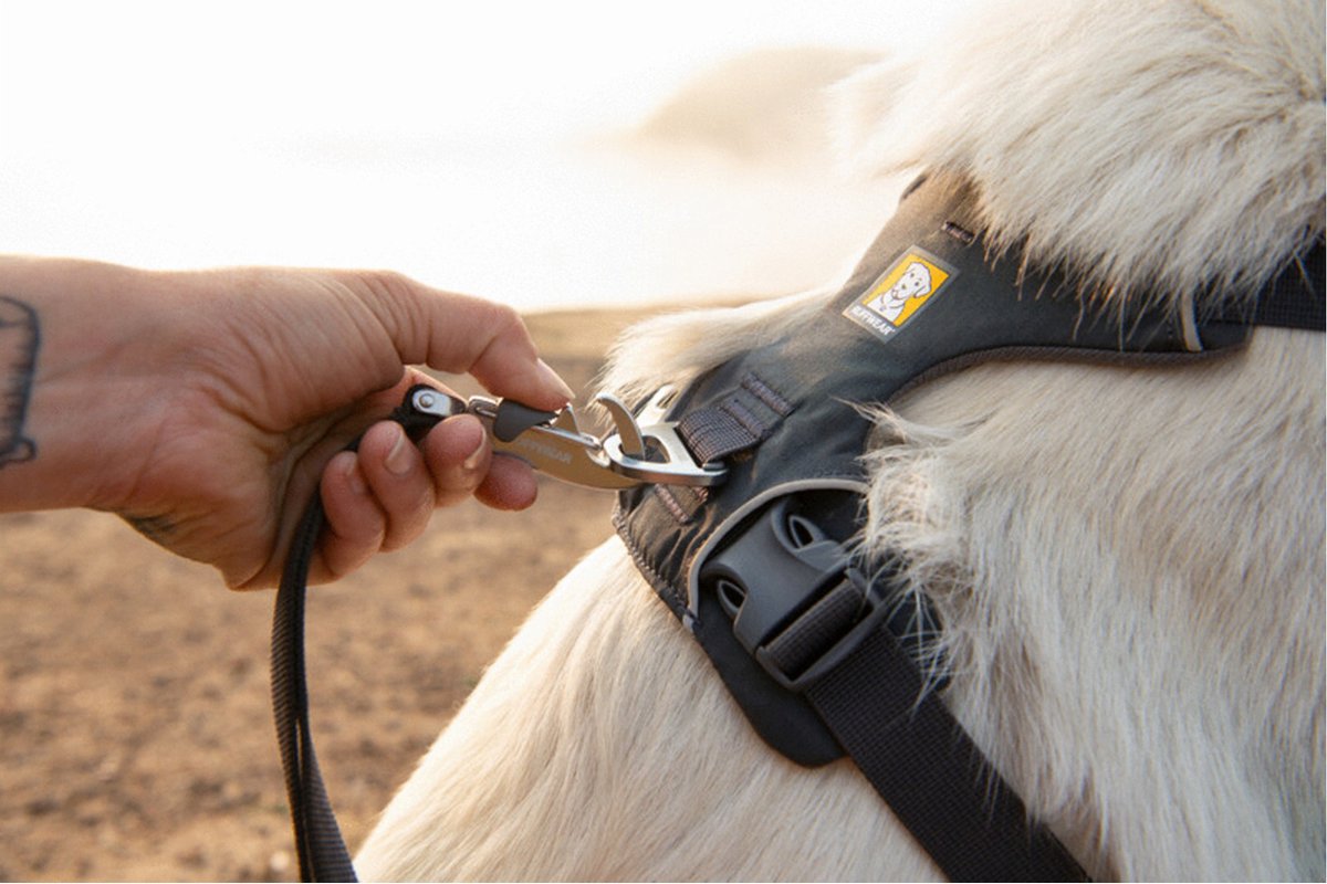 Ruffwear Front Range Harness - XXS - Basalt Gray