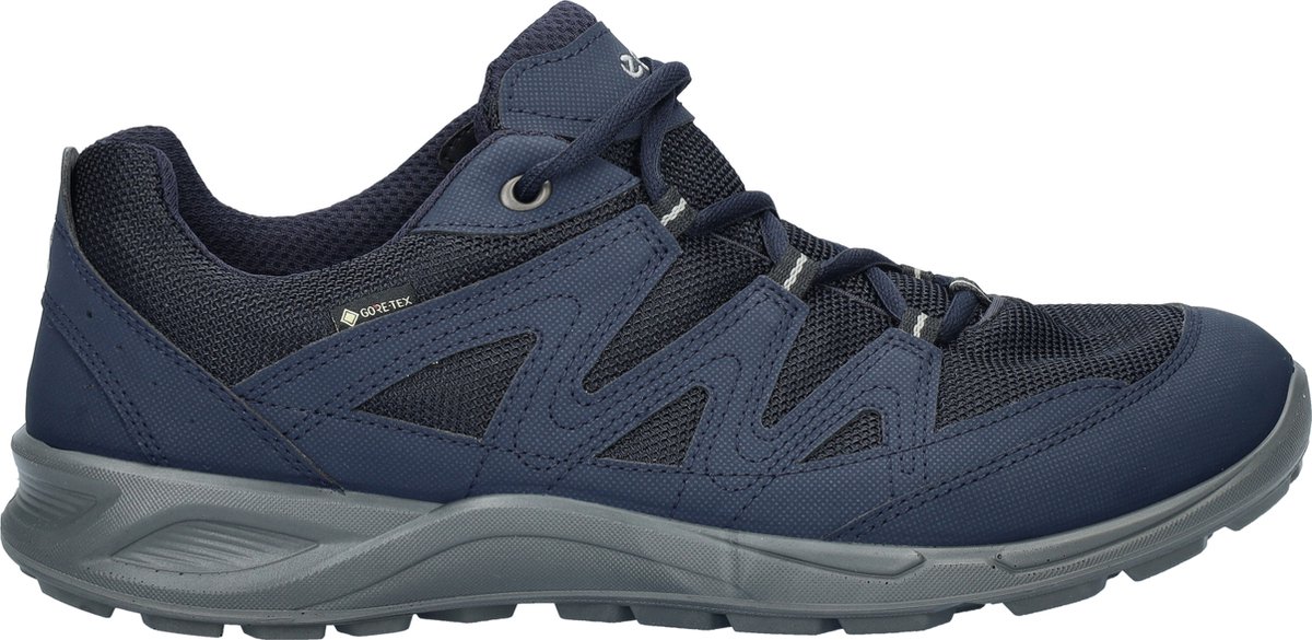 Baskets Ecco Terracruise GTX