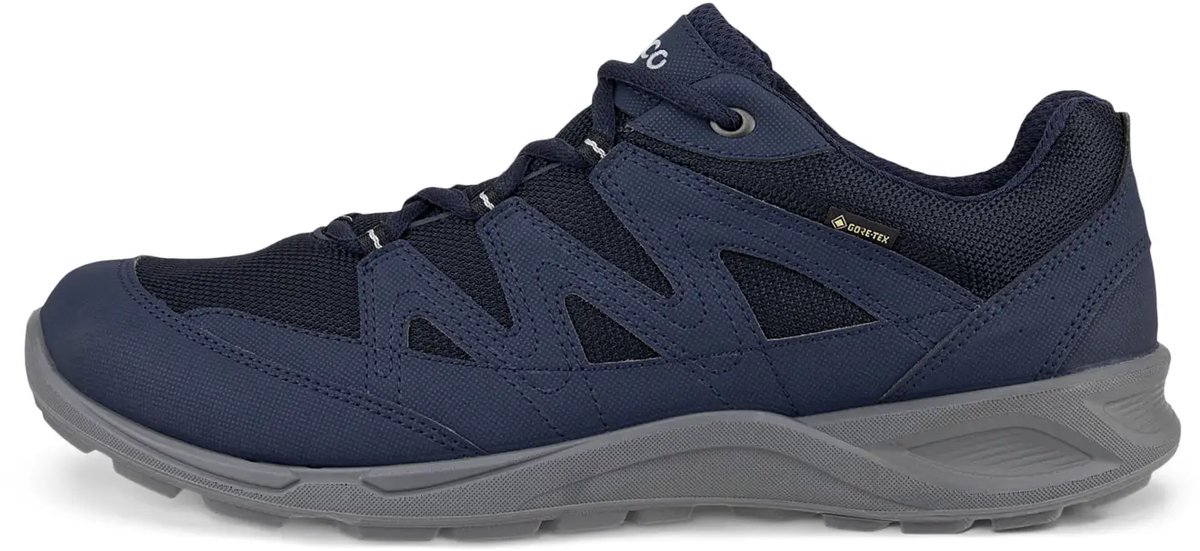 Baskets Ecco Terracruise GTX