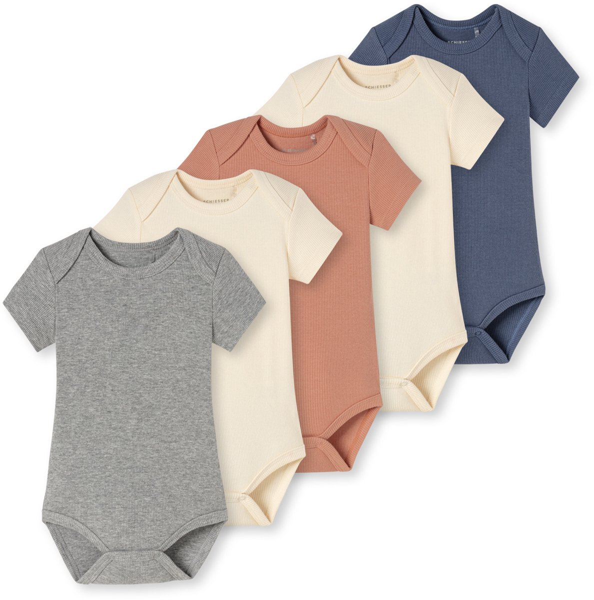 Babybodies Doppelripp kurzarm 5er-Pack mehrfarbig - Baby 74/86