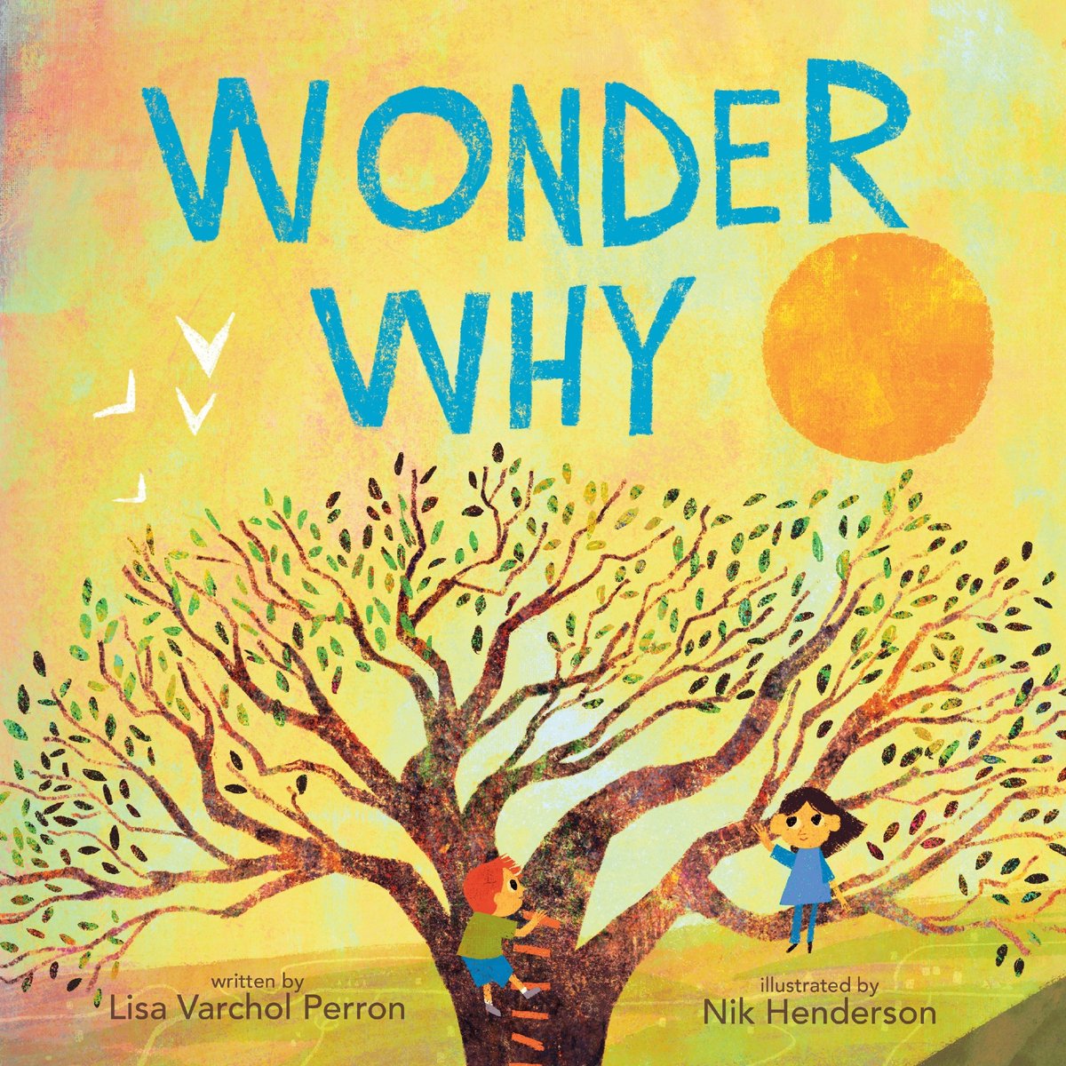 Wonder Why von Lisa Varchol Perron Hardcover Buch 9780063310421