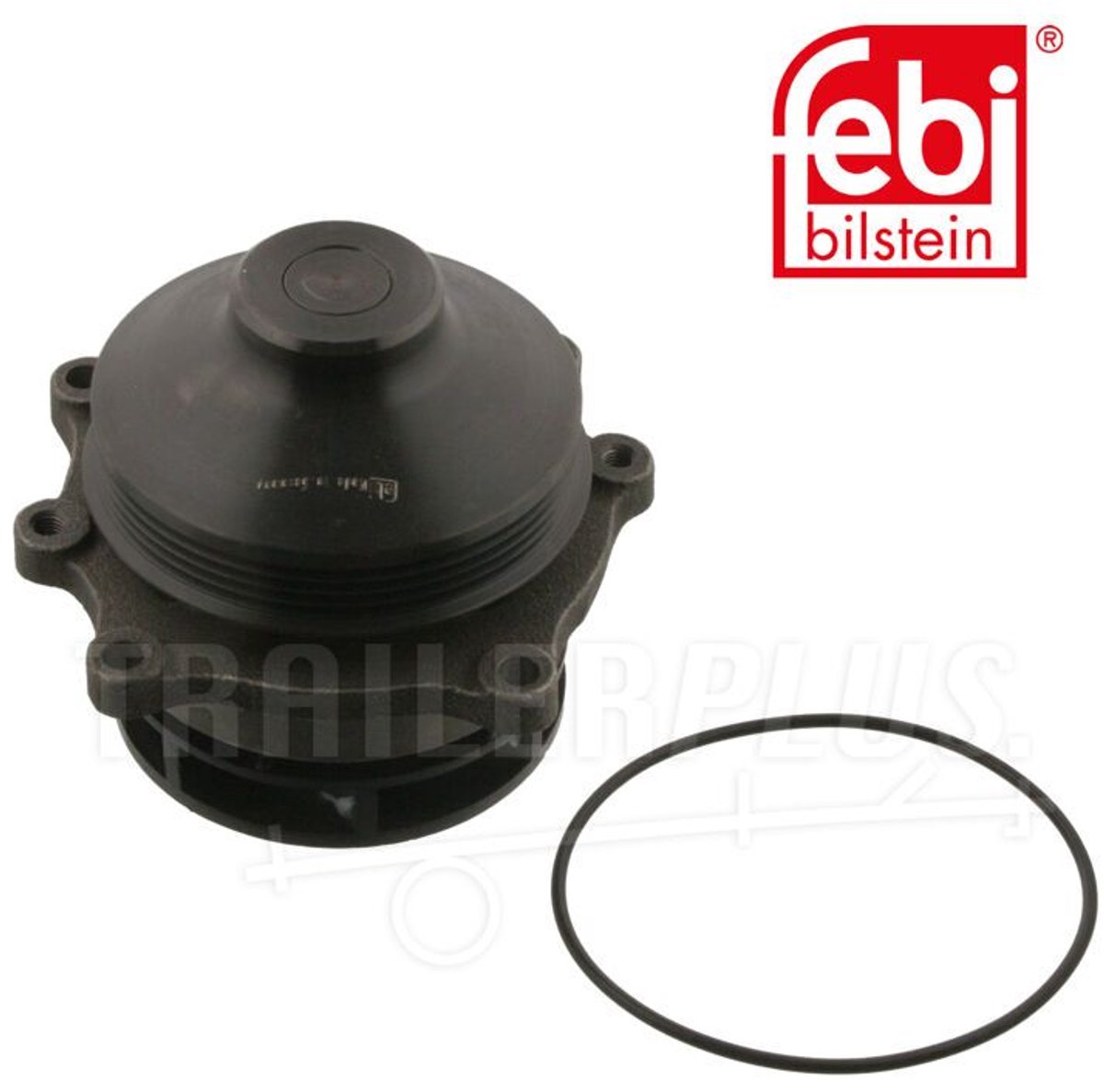Febi Wasserpumpe + Dichtung