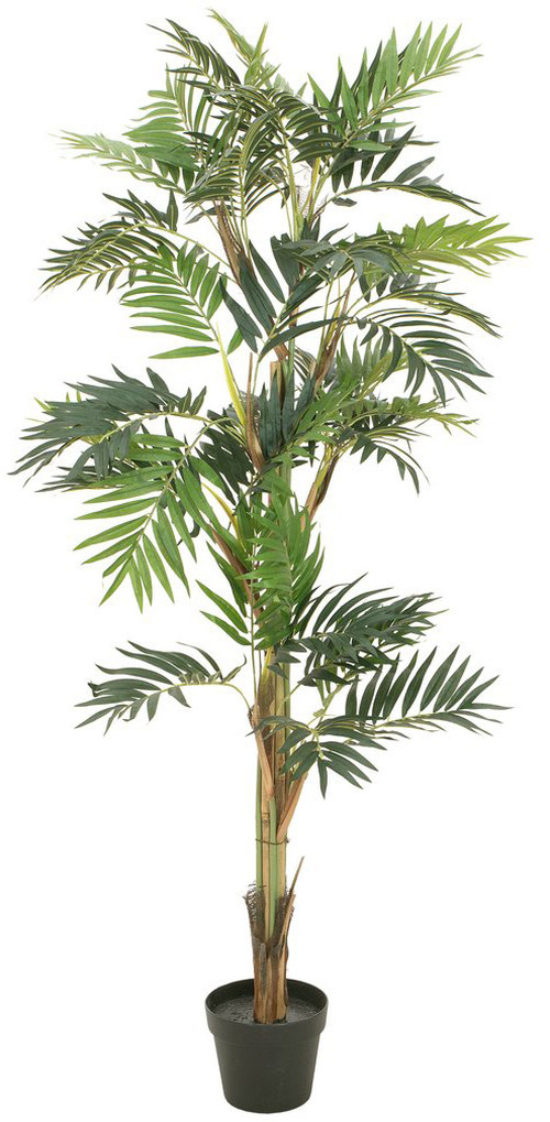 EUROPALMS Parlour Palme, Kunstpflanze, 150cm