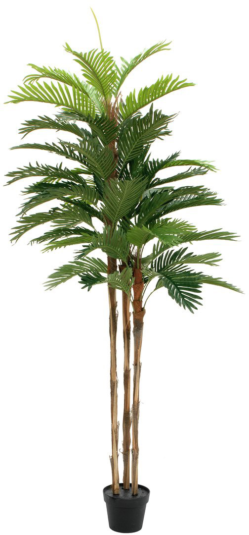 EUROPALMS Kentia Palme, Kunstpflanze, 180cm