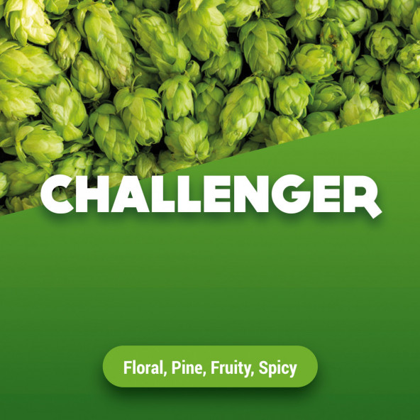 Rohhopfen Challenger 5 kg