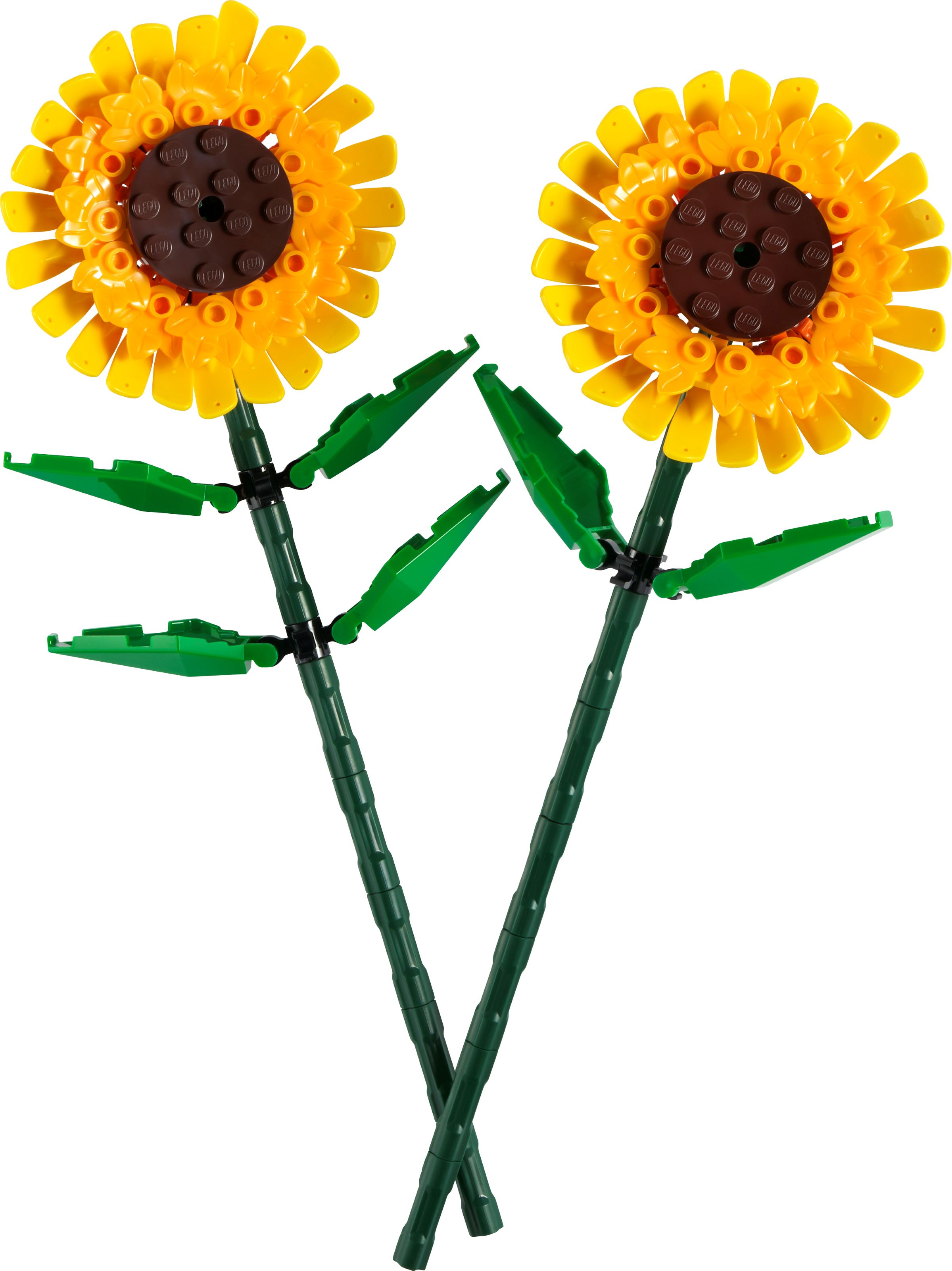Solsikker