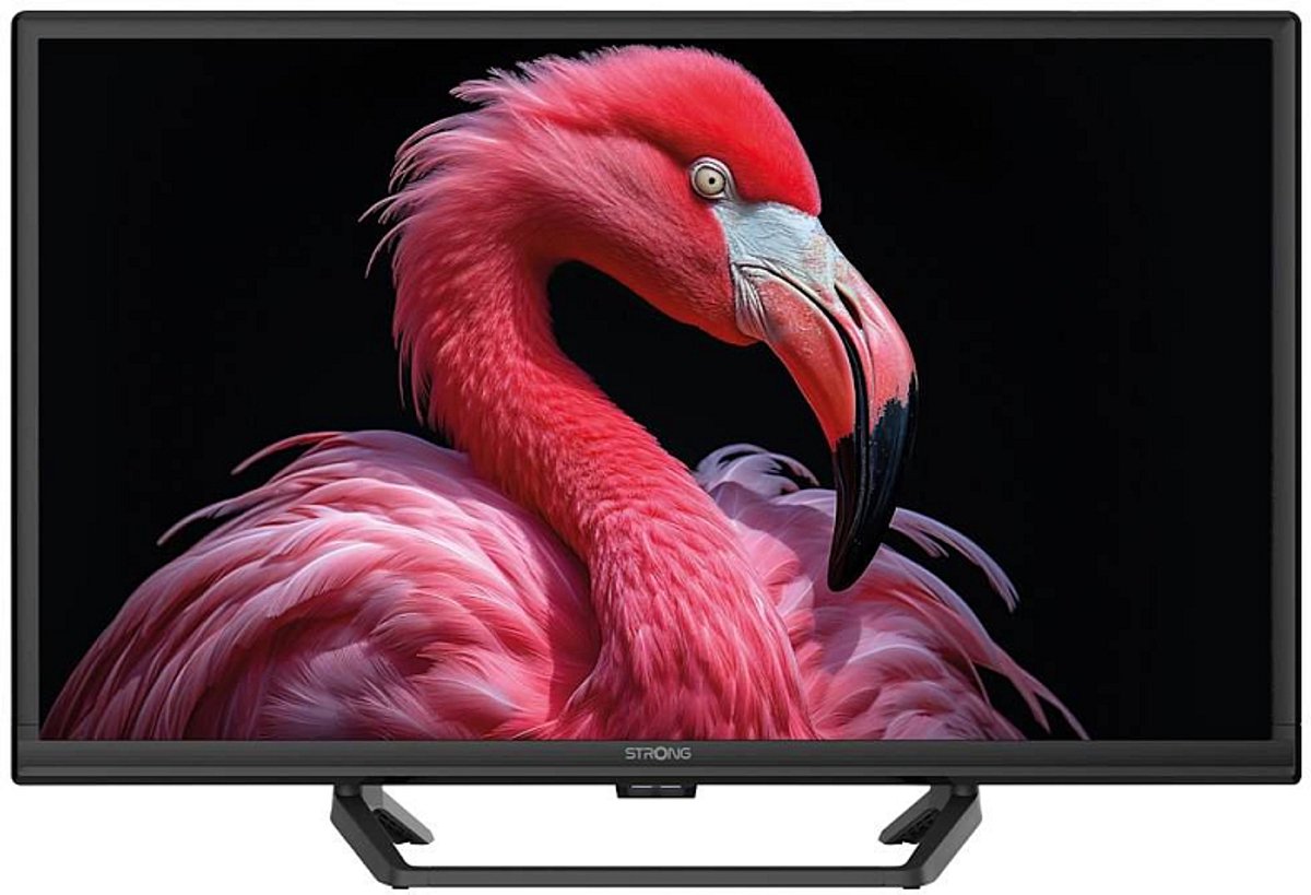 Starker SRT24HG4723C 24  HD Ready LED-Fernseher Google TV 12V/230V