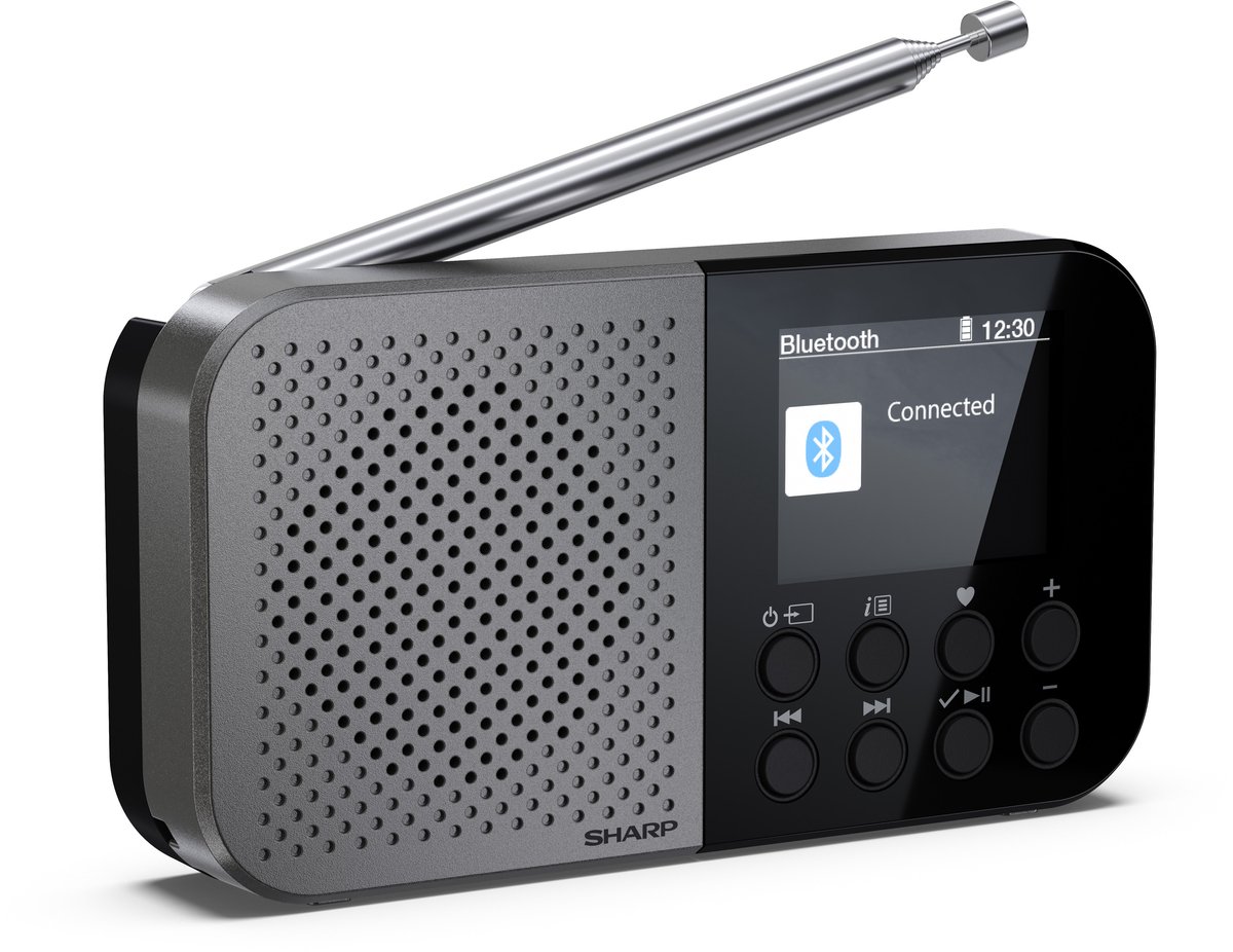 Sharp DR-P520 Personal Digital Grey