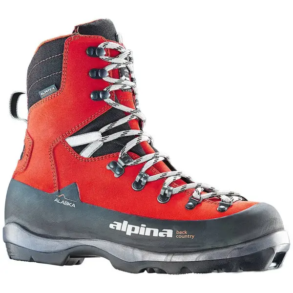 Alpina Alaska Backcountry Chaussures de ski (46)