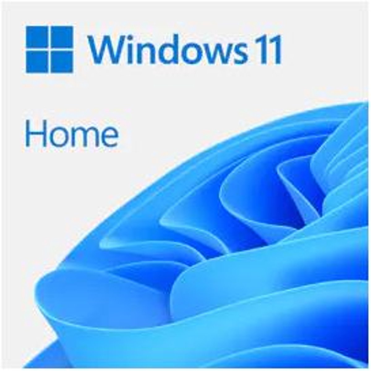 Microsoft Win Home Fpp 11 64-BIT Italian USB HAJ-00115