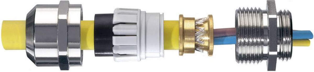 N/A Wiska EMSKV 20 EMV-Z 10065018 M20 laiton laiton 50 pc(s)