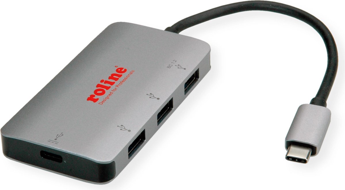 Roline - hub - 4 ports USB hub - 4 ports - Sølv