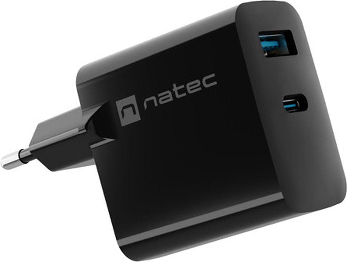 Natec Ribera power adapter - GaN - USB 24 pin USB-C - 65 Watt