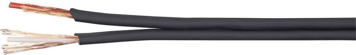 BKL Electronic 1106001/50 Câble audio 2 x 0.14 mm² noir 50 m