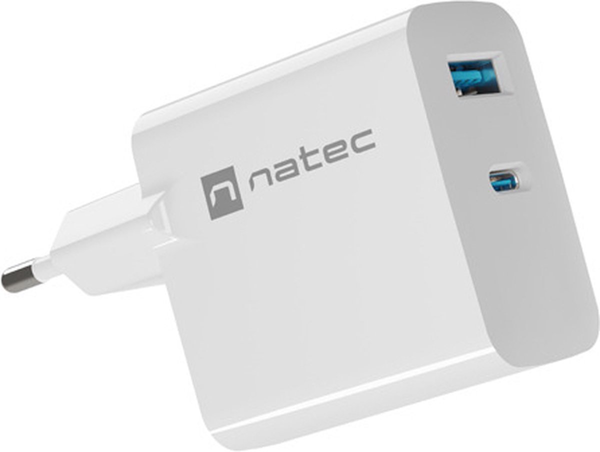 Natec Ribera power adapter - GaN - USB 24 pin USB-C - 45 Watt