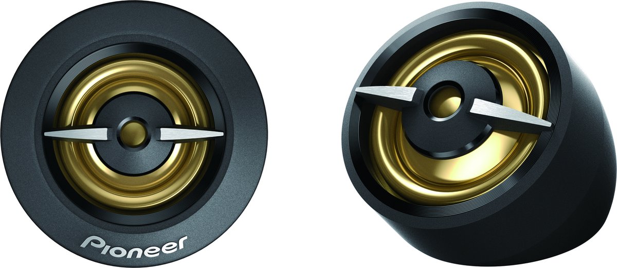 Pioneer TS-A301TW