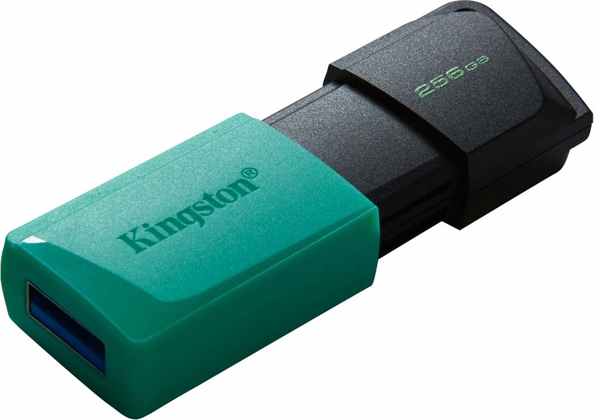 Kingston DataTraveler Exodia M - Blå - 256GB - USB Stick