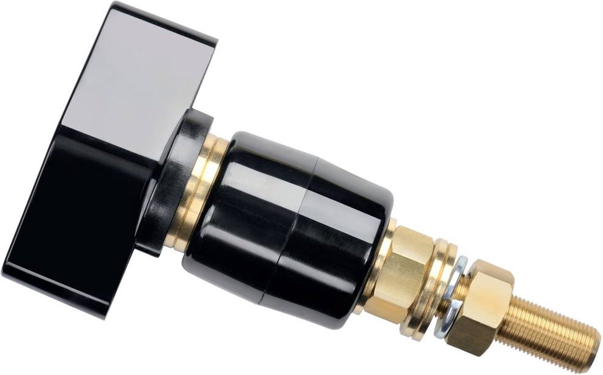 Schützinger Borne de polarité noir 200 A 1 pc(s)