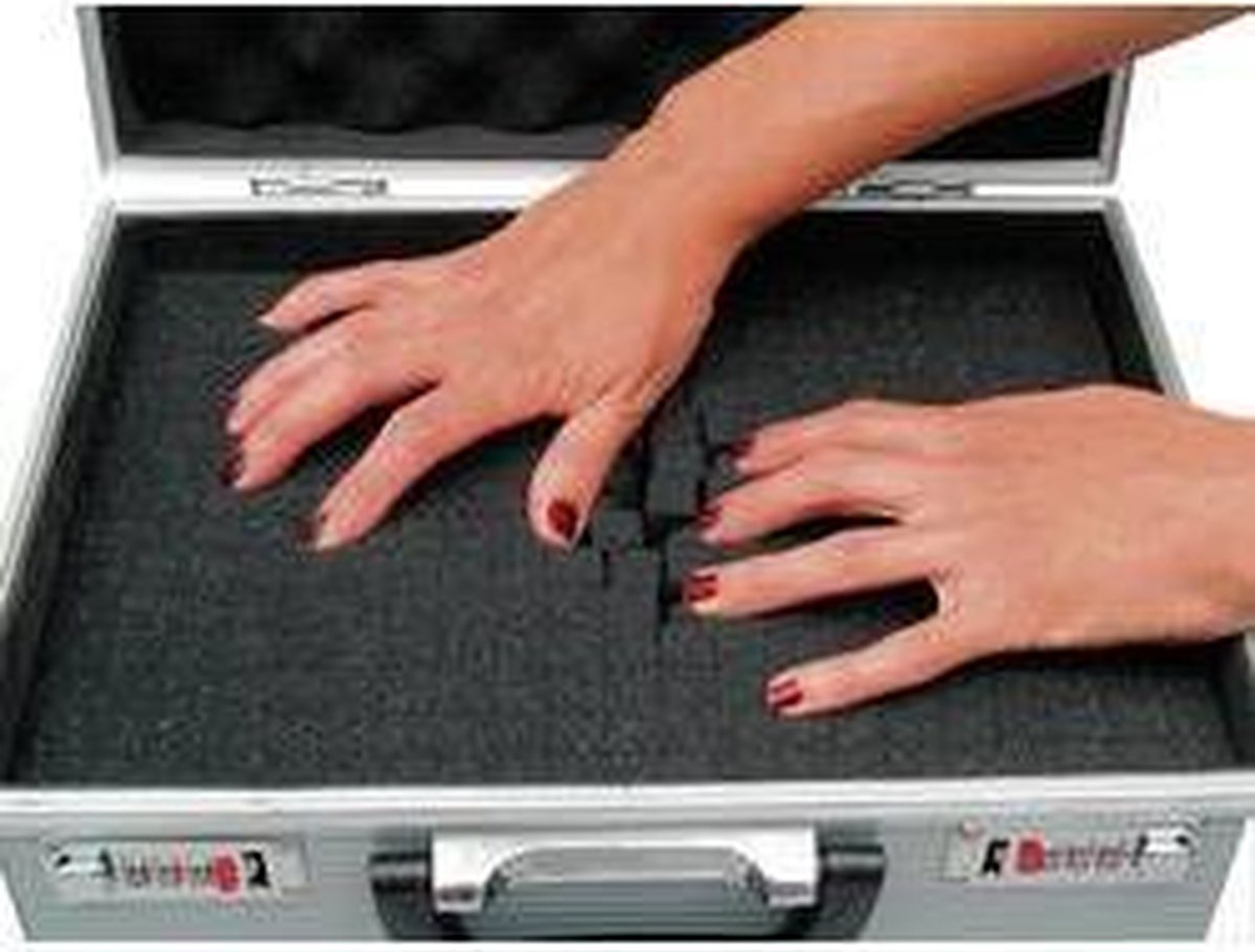 VISO STC961P universelle Mallette à outils non équipée (L x l x H) 520 x 280 x 100 mm