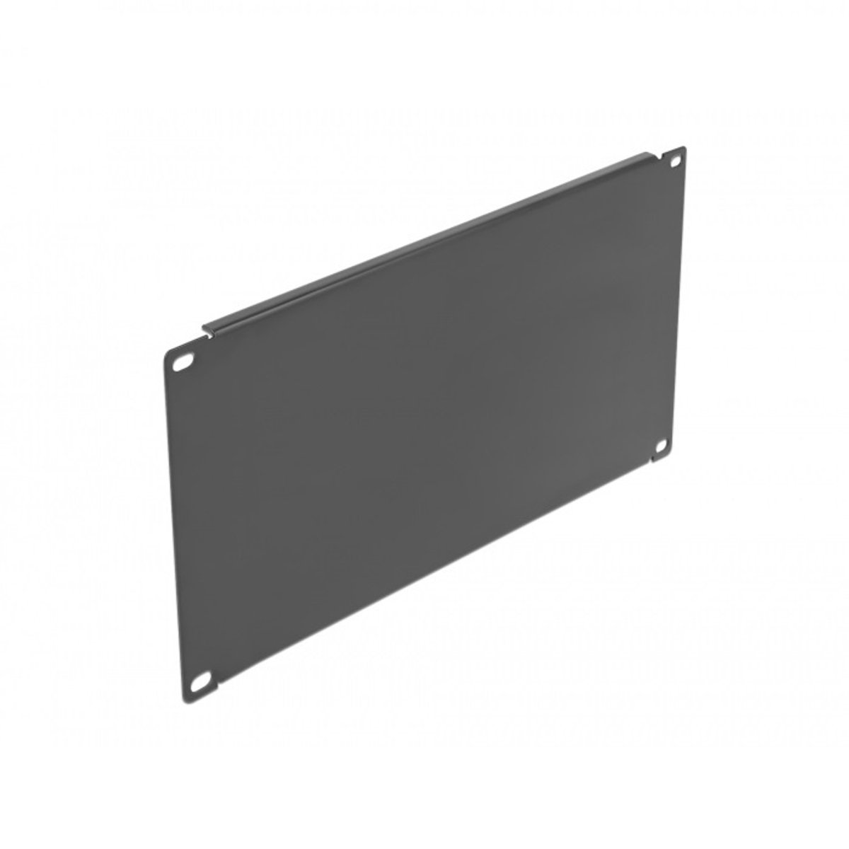 DeLOCK Network Cabinet Blind Cover - 4U - 19"