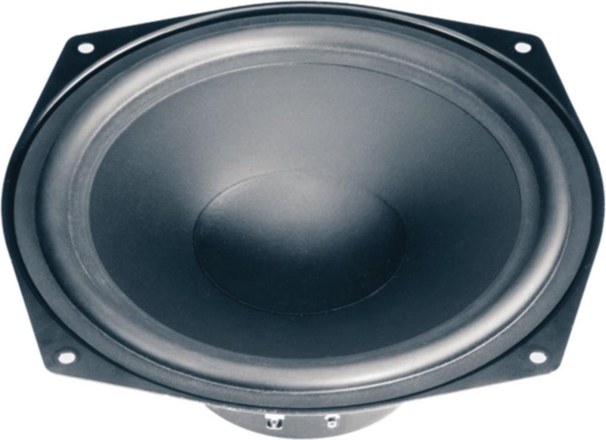Boomer Visaton WS 20 E