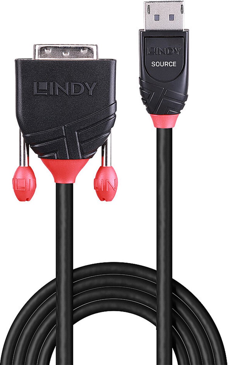 Lindy DisplayPort to DVI-D Cable - 2m