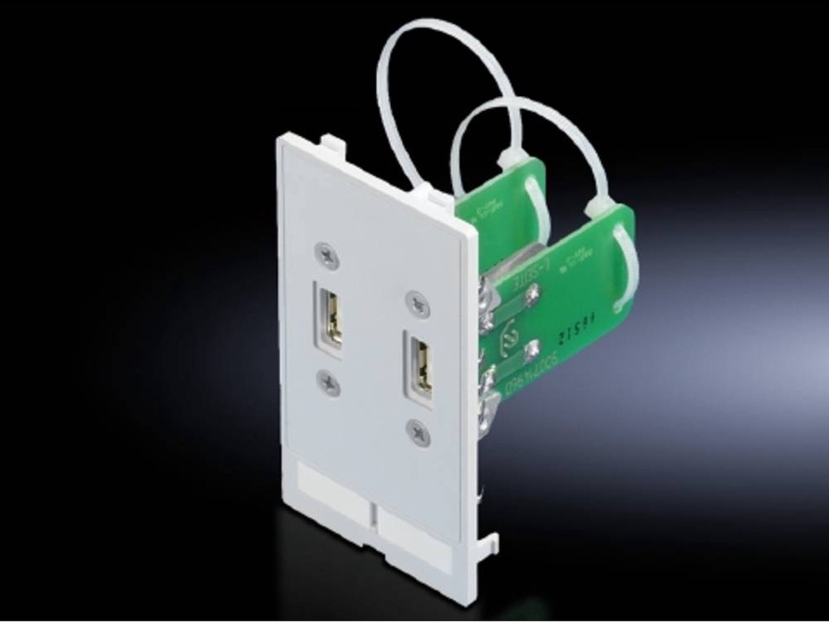 Rittal SZ 2482.540 Volet dinterface USB-A Fonte gris graphite (RAL 7024) 1 pc(s) Piece